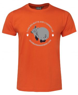 Wombat Awareness S1NFT Orange